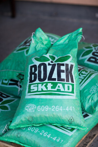 zdjecie
