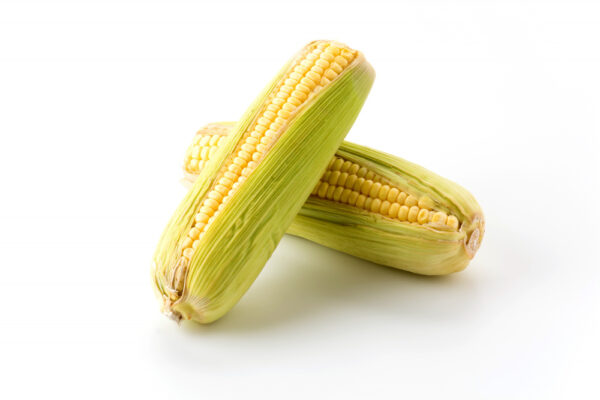 zdjecie